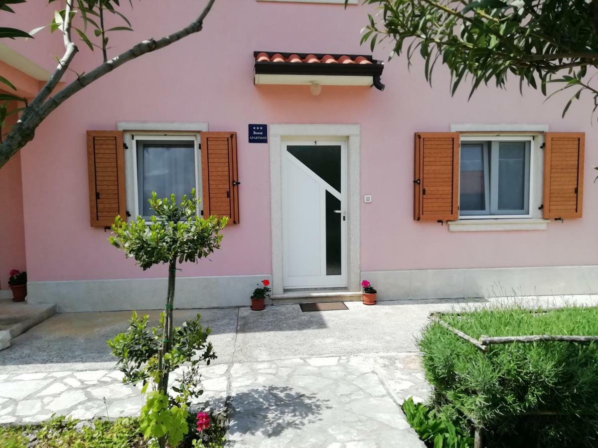 Apartmani Vesna Buje Exterior photo